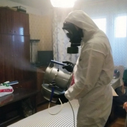 Дезинфекция от клопов в Юхнове